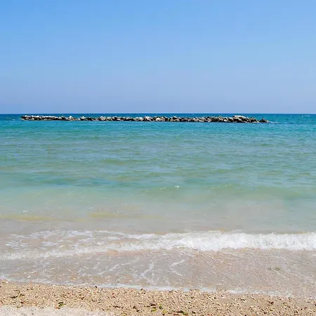 Pet Friendly In Terre Roveresche